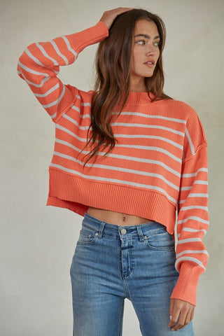 Salmon Neu Stripe Sweater