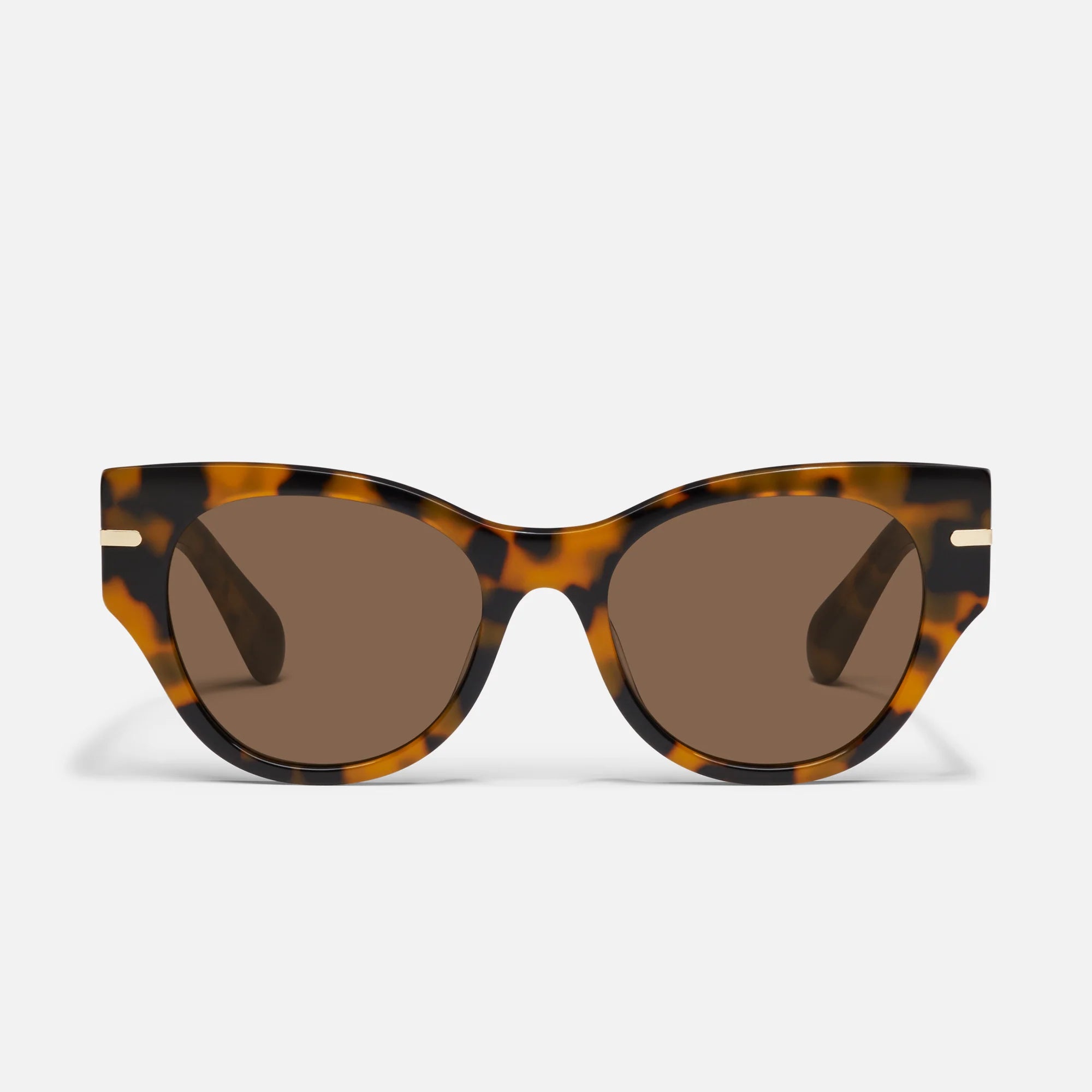 Pebble Tortoise &amp; Brown Chit Chat Sunglasses