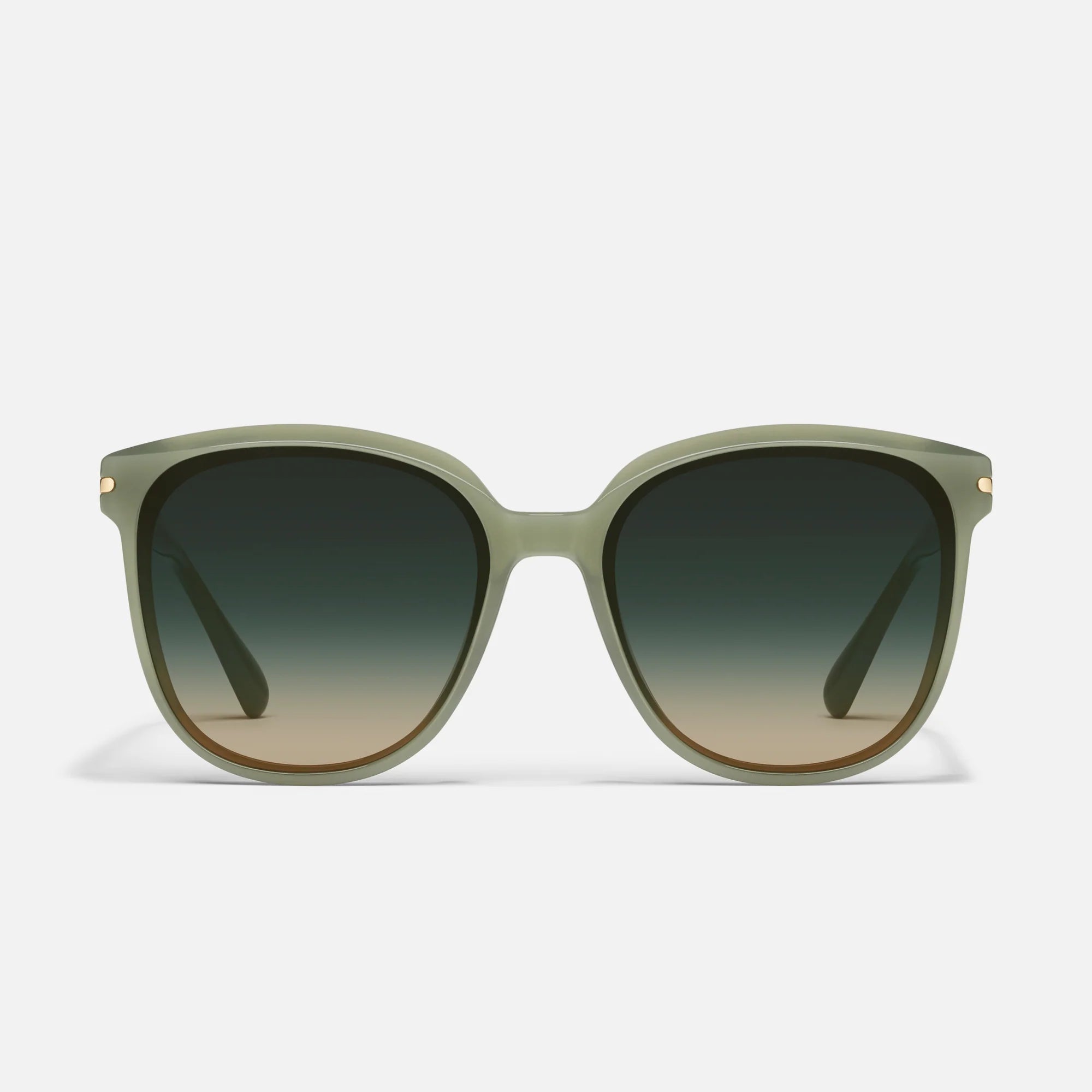 Jade Palm Rent Free Sunglasses